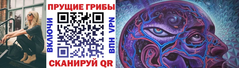 Галлюциногенные грибы прущие грибы  Купить закладки  Шилка 